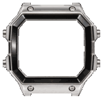 Silver / Black Bezel