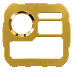 Gold Brushed Blank